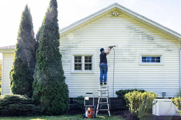 Best Affordable Pressure Washing  in Hurley, MS