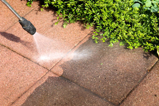 Best House Pressure Washing  in Hurley, MS