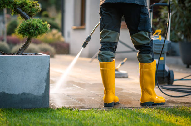 Best Pressure Washing Near Me  in Hurley, MS
